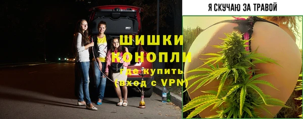 соль курить ск Инсар